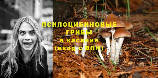spice Каменногорск