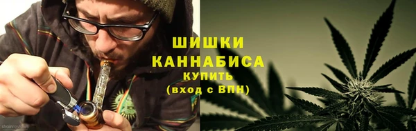 дживик Богданович
