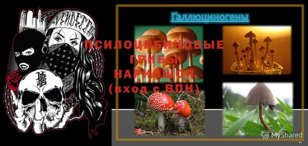 соль курить ск Богородск