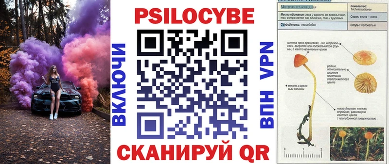 MEGA ссылка Данилов Псилоцибиновые грибы мицелий